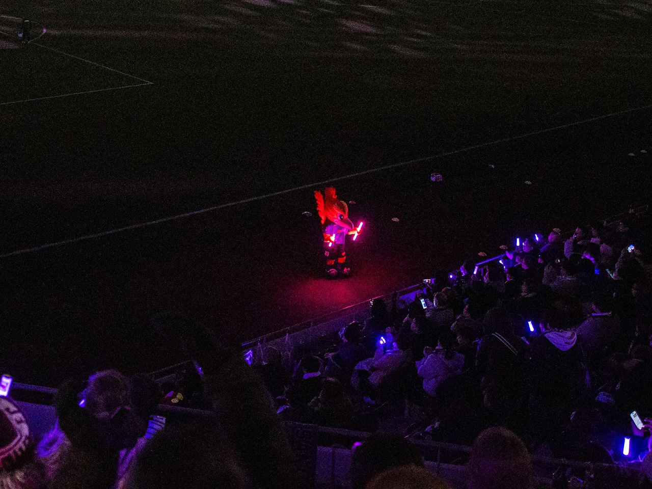 SUPER PURPLE NIGHT 実施イメージ4