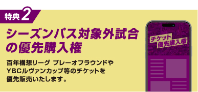 シーズンパス対象外試合の優先購入券