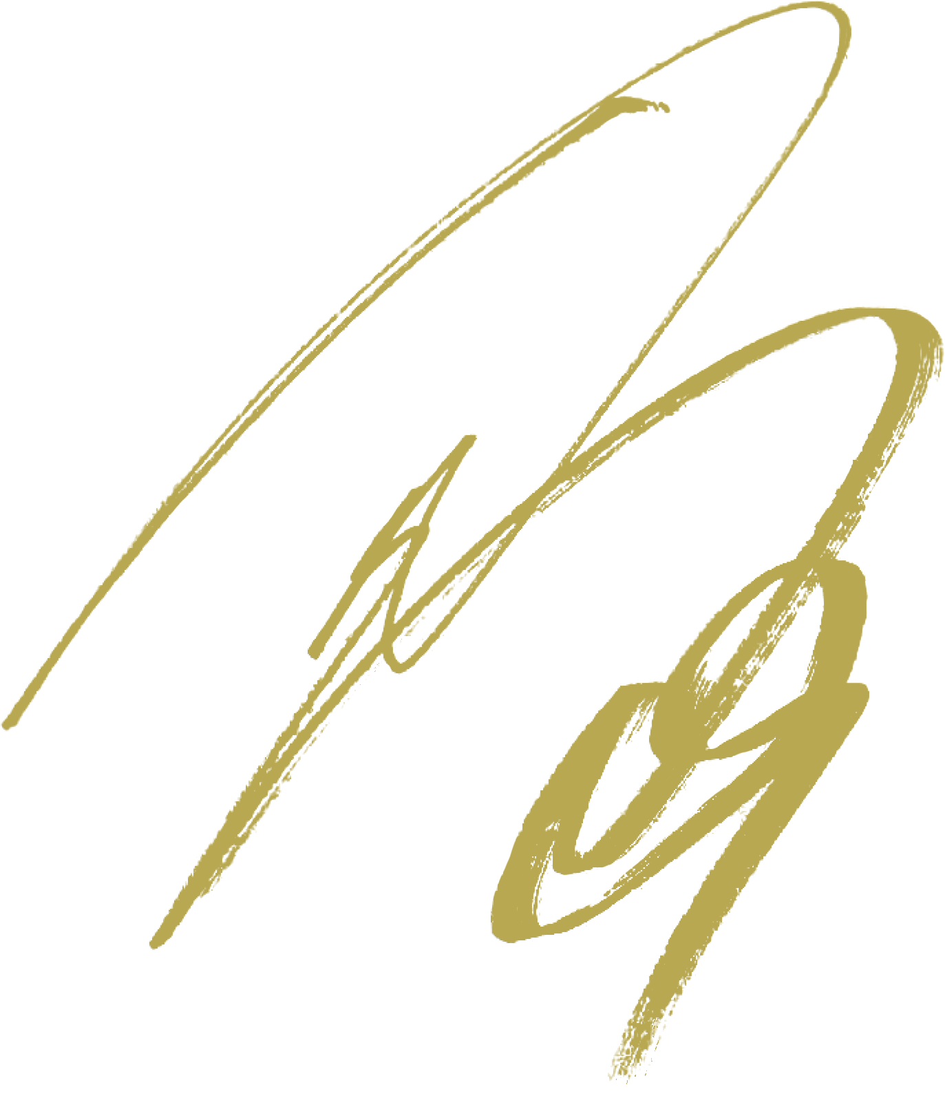 Daiki KANEKO